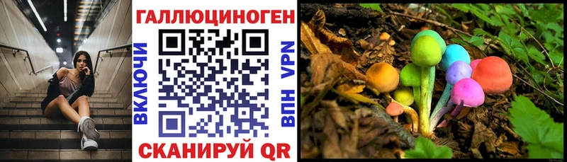 МЕГА онион Пошехонье Галлюциногенные грибы Cubensis дарнет шоп
