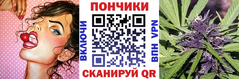 ссылка на мегу онион  Пошехонье  Шишки марихуана ГИДРОПОН 